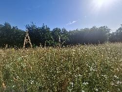 Photo du bien
